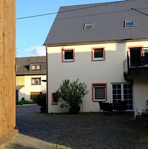 Ferienwohnungen Weingut und Vinothek Regnery Klusserath Exterior photo