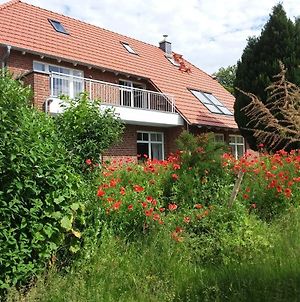 Haus Rosengarten- Ruhige Ferienwohnungen im Grünen Sehlen Exterior photo