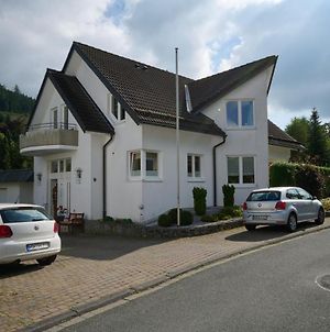 Ferienhaus Schulte - Villa Jupp und Apartment Liesl Olsberg Exterior photo