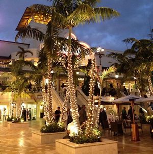 Ferienwohnung Coconut Grove Green Day'S Miami Exterior photo