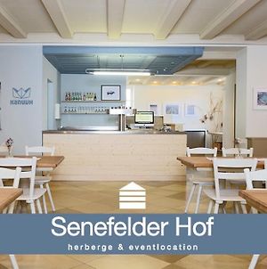 Hotel Senefelder Hof Solnhofen Exterior photo