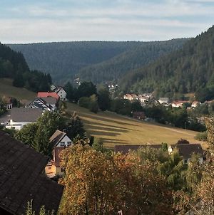 Ferienwohnung Waldblick Baiersbronn Exterior photo