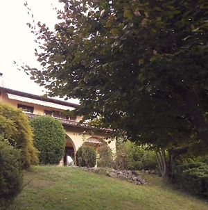 Amazing 3 Bedrooms Villa With Lavish Garden, Breathtaking Lake And Mountains View Luino Exterior photo