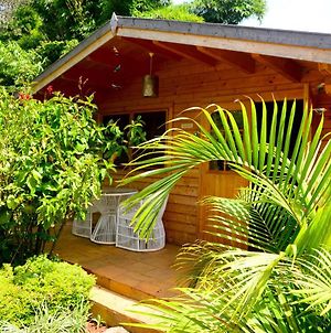 Severine Cottages And Lounge Ltd Nairobi Exterior photo