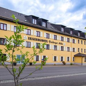 Erzgebirgshotel Freiberger Höhe Eppendorf  Exterior photo