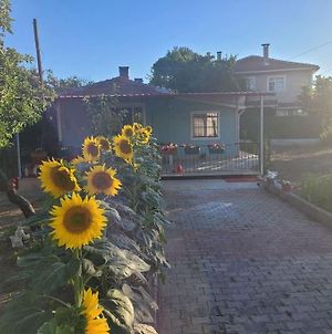 In The Village, With A Garden, One Floor, Detached Silivri Exterior photo