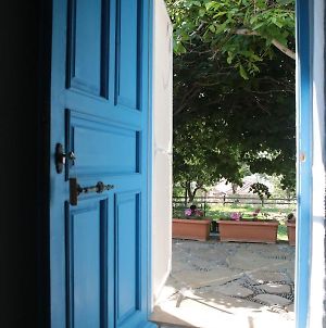 Bed and Breakfast Mustafa'Nin Fidan'I İmroz Exterior photo