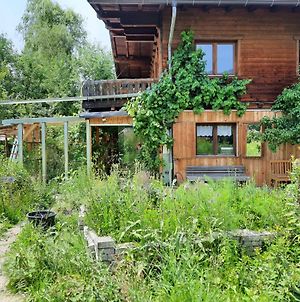 Ferienwohnung Bauernhaus Im Permakultur-Garten St. Johann in Tirol Exterior photo