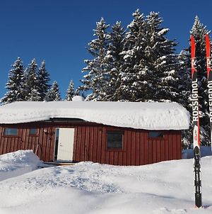 Villa Cabin With Great View Close To Town And Ski Area Lillehammer Exterior photo