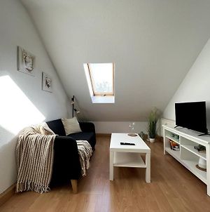 Über den Dächern Leipzigs: Süßes kleines Apartment mit Dachterasse! Nur 5 Minuten zum Stadion und 10 Minuten ins Zentrum Exterior photo