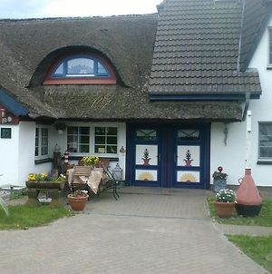 Pension Martens - Gaubenwohnung Wieck Exterior photo