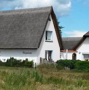 Villa Hagebutte Wieck Exterior photo