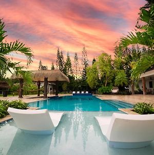 Villa Tropical Lux Escape-Swim Up Bar, Picklebal-20Guest Homestead Exterior photo