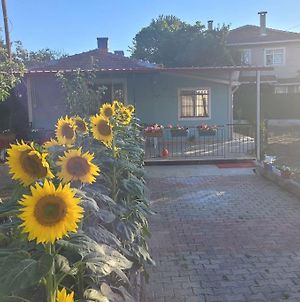In The Village, With A Garden, One Floor. Detached Silivri Exterior photo