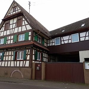 Viktoria Ferienwohnung, Schwarzwald, Europa Park, Strassburg, Alsace Offenburg Exterior photo