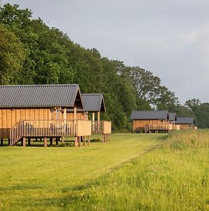 Composite Lodges With Shared Space, Located In The Natural Drenthe Ruinerwold Exterior photo