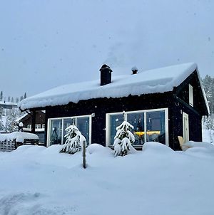 Villa Great Cabin In Hemsedal Wifi Golf Ski Eldorado Exterior photo
