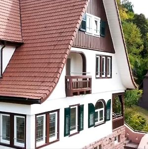Villa Familiengluck Im Schwarzwaldhaus Mit Schlossblick Neuenburg  Exterior photo