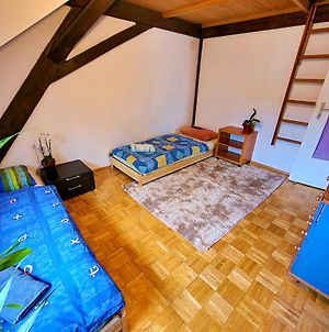 Comfortable Room Close To Sbb And The Stadium. Münchenstein Exterior photo
