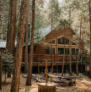 Villa Peace Of Mine - Cabin Inside Yosemite - Pet Friendly Wawona Exterior photo
