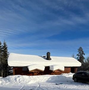 Villa Trysil - Ski In/Out Exterior photo