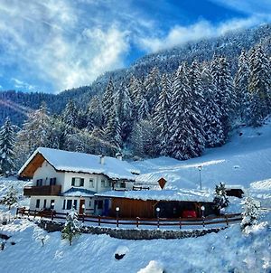 Ferienwohnung Im Herzen Der Sudtiroler Dolomiten Skifahren Und Wandern38 M Pufels Exterior photo