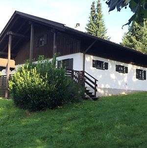 Villa Ferienhaus Im Grunen Mit Einer Fass-Sauna Im Garten Regen Exterior photo