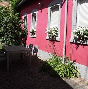 Villa Winzeranwesen - Weingut Christian Eberley - Haupthaus I Neustadt an der Weinstraße Exterior photo