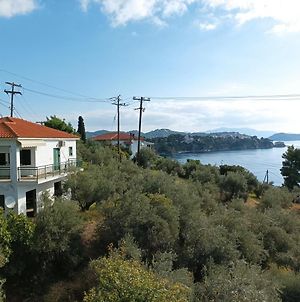 Villa Ftelia House Skiathos-Stadt Exterior photo