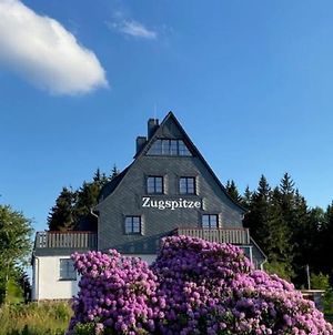 Zugspitze Apartment Gluck.Auf Waldidylle Exterior photo