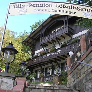Bilz-Pension Radebeul Exterior photo