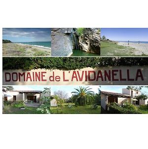 Ferienwohnung Domaine De L'Avidanella Santa-Lucia-di-Moriani Exterior photo