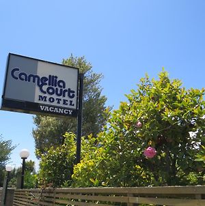 Camellia Court Family Motel Tauposee Exterior photo