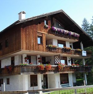 Villa Pocol - Stayincortina Cortina d'Ampezzo Exterior photo