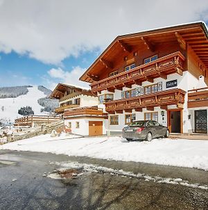 Delfi Ski & Bike Appartements By Holidayflats24 Saalbach Exterior photo