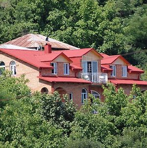 Zandarashvili Guest House Sighnaghi Exterior photo