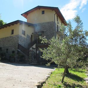Villa Agriturismo Madonna Dei Ceppi Lezzeno Exterior photo