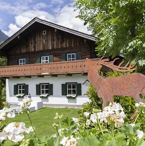 Villa Forest Chalet, Secluded Location, 1,000 Sqm Garden, Mountainview, Panorama Sauna, Whirlpool, Bbq&Bikes&Sunbeds For Free, Up To 10 P Golling an der Salzach Exterior photo
