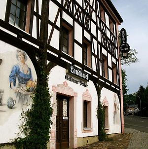 Landhotel Goldener Becher Limabach - Oberfrohna Exterior photo