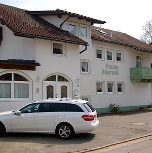 Pension Bayerwald Spiegelau Exterior photo