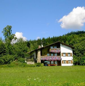 Ferienwohnung Landhaus Wildfeuer Kirchdorf im Wald Exterior photo