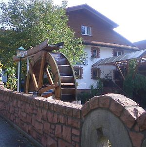 Hotel Zur Mühle Mörlenbach Exterior photo