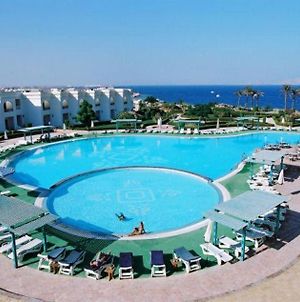 Royal Paradise Resort Sharm El Sheikh Facilities photo
