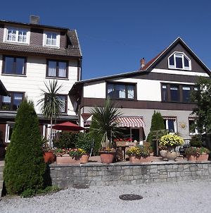 Pension Waldhof Trautenstein Exterior photo