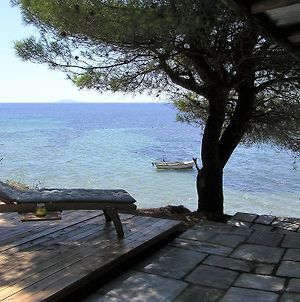 Villa Sea And House Nikiti  Exterior photo