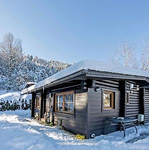 Villa Comfortable Chalet In W Rgl Boden Near Ski Area Hopfgarten im Brixental Exterior photo