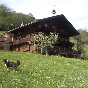 Ferienwohnung Bauernhof Obererlach Bramberg am Wildkogel Exterior photo