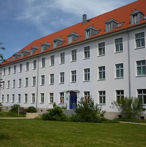 Hanse Haus Pension Greifswald Exterior photo