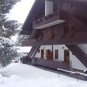 Villa Titti House Cortina Dolomites Borca di Cadore Exterior photo