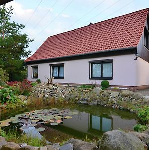 Apartment In The Harz With A Log Cabin Pond And Covered Seating Area Wienrode Exterior photo